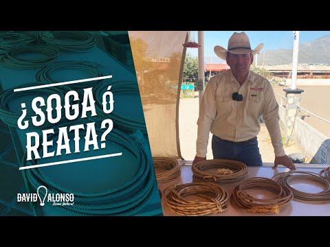 What is Reata's name?