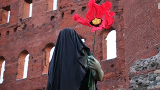 Torino, teli neri (e un fiore) sulle statue di Cesare e Augusto in Porta Palatina: blitz di Extin...