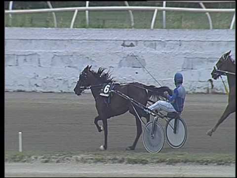 Trotto 16/06/2016 - 3° corsa