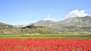 preview picture of video 'Un anno a Castelluccio di Norcia'