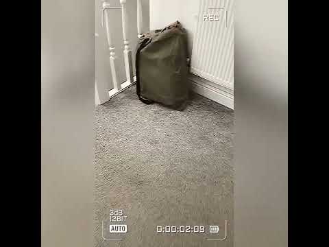 The backrooms - noclip ( test )