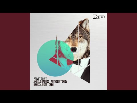 Privet Drive (Original Mix)