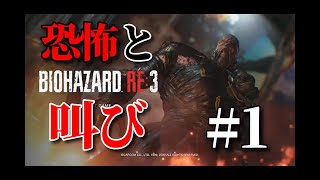 【ホラー】永遠に終われる恐怖にあなたは耐えられるか…バイオハザードRE:3　#1