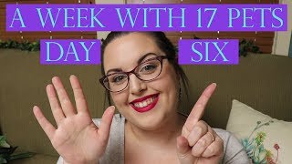 A Week In My Life With 17 Pets | Day Six - SATURDAY