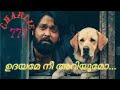 Charlie 777 Malayalam Video Song Udhayame Nee Ariyumo