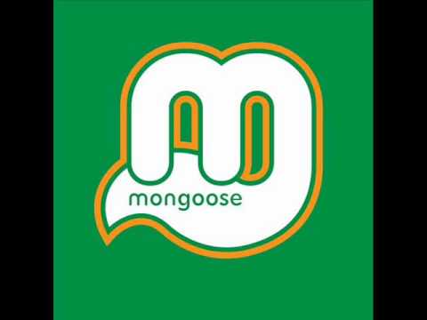 Start Spreading The News - Mongoose