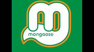 Start Spreading The News - Mongoose