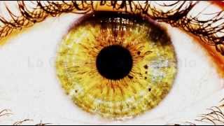 Marta sui tubi - La canzone del labirinto