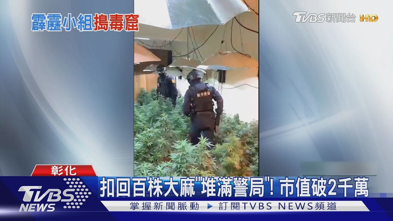 要開幕沒？租民宅「開娃機店」　竟變大麻園