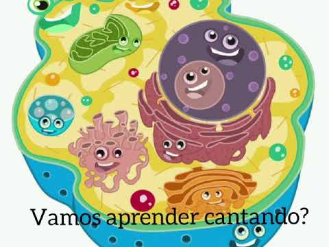 Célula - Prof Fabi (CIÊNCIAS) Paródia Ouvir Dizer