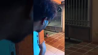 Una bruja en el patio de mi casa #shorts #creepypasta