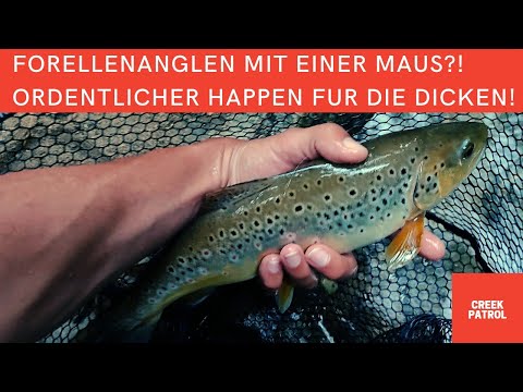 Fressen Forellen Mäuse? Ich angle mit einer Maus am Bach!