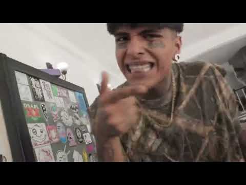 Zoop One - HDP FRI$TAIL