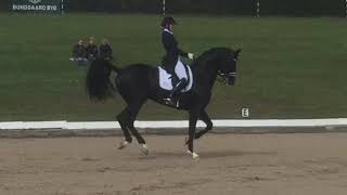 Blue Hors St Schufro flirte avec les 80 % sur le Petit Tour