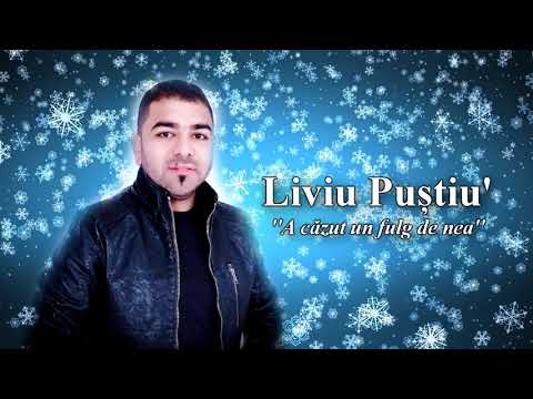 Liviu Pustiu – A cazut un fulg de nea [Cover] Video