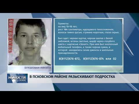 21.11.2018 # В Псковском районе разыскивают подростка