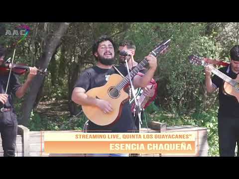 ISMAEL VIZGARRA EN VIVO STREAMING QUINTA LOS GUAYACANES 23-08-2026