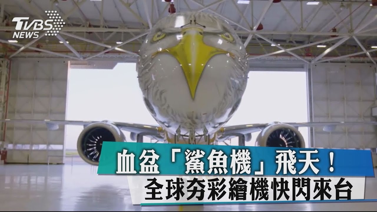 血盆「鯊魚機」飛天! 全球夯彩繪機快閃來台