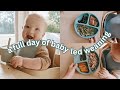 What My 8 Month Old Eats in a Day | BLW, Breastfed + Dairy Free
