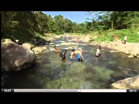 PNG - Dr Dim Dim - Foreign Correspondent - ABC[2].wmv