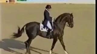 Video von Donnerhall