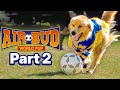 AIR BUD WORLD PUP Chapter 02 Part Of The Team Official Movie