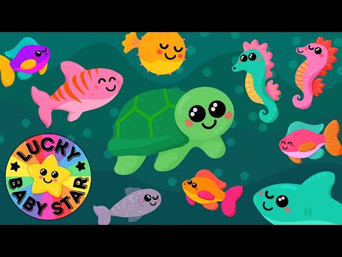 Under the Sea Exploration by Lucky Baby Star! Sensory Ocean Adventure with Colourful Sea Creatures
