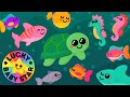 Under The Sea Safari Baby Sensory Ocean Adventure With Colourful Sea Creatures