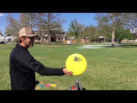Prodiscus Respecti Review