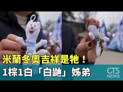 米蘭冬奧吉祥是牠！　1棕1白「白鼬」姊弟