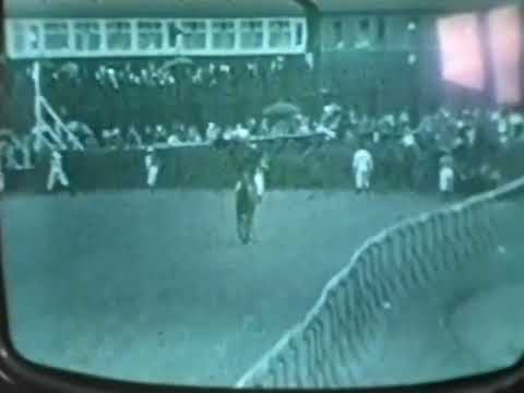 Foinavon wins the 1967 Grand National
