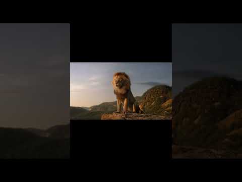 The Lion King's Unlucky Brother - TOON SANDWICH #funny #disney #lion #animation #shortsvideo