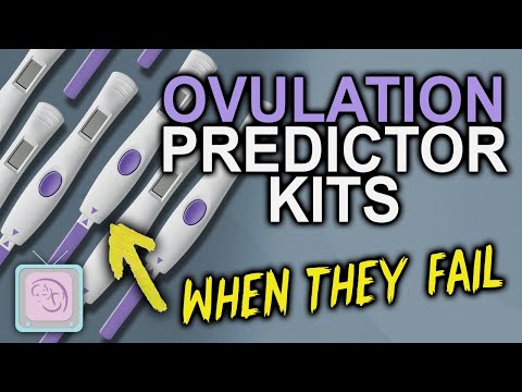 Ovulation Predictor Tests Will They Help You Become Pregnant
