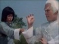 Born Invincible Showing Tai Chi Style