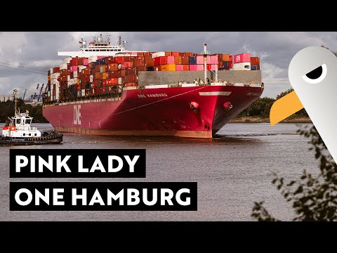 A container giant is turned and parked - ONE Hamburg ⚓️ Hamburg Hafen Live