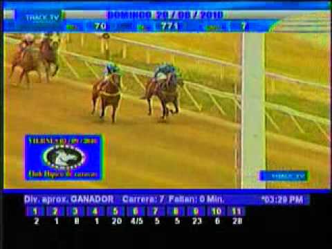 Resumen Domingo, 29 de Agosto de 2010 - La Rinconada