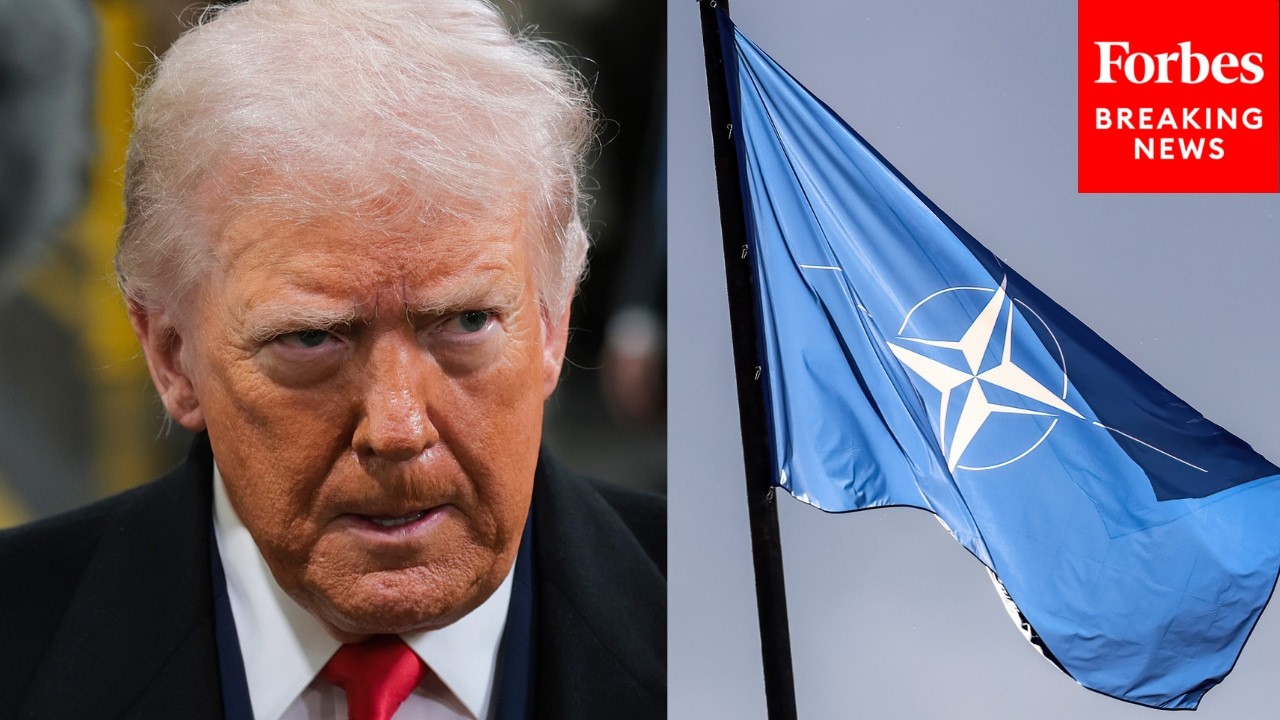 Video | 'We Didn't Need It, But We Got None': Trump Blasts NATO Allies For Not Helping US With Iran Attacks