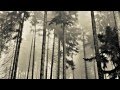 Moonface - Love the House You're In 