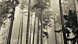 Moonface - Love the House You're In