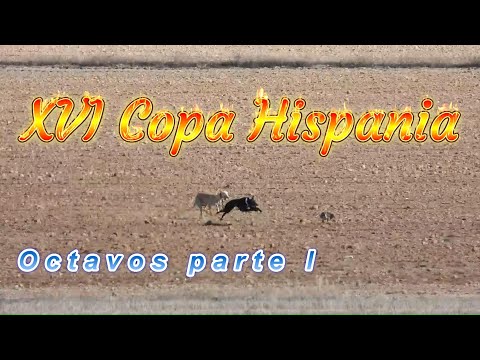 XVI Hispania Cup, Round of 16, Part 1