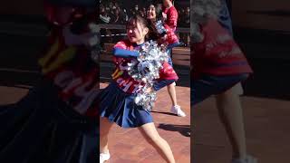 NECロケッツ チアリーダー  SPARKLES