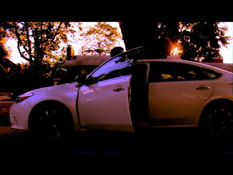 shredgang mone - "work for nobody"(official video)