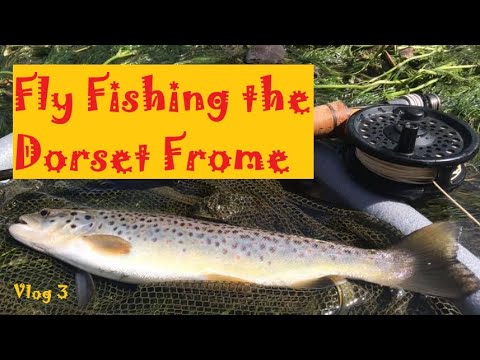 download lagu mp3 mp4 Trout Fishing Dorset, download lagu Trout Fishing Dorset gratis, unduh video klip Trout Fishing Dorset