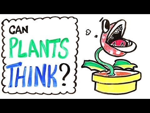 Fascinating: Do Plants Think?