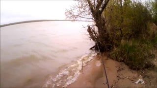 Рыбалка в ельцовка алтайского края село
