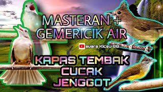 Download lagu Masteran Kompilasi Kapas Tembak & Cucak Jenggot   Gemericik Air // mp3