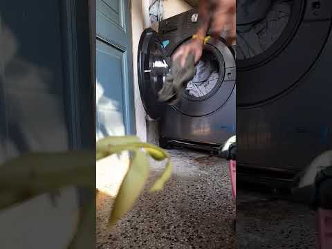 WASHING CLOTHES MADE EASY. MOTOROLA FRONT LOAD WASHING MACHINE #motorola #washingmachine #frontload