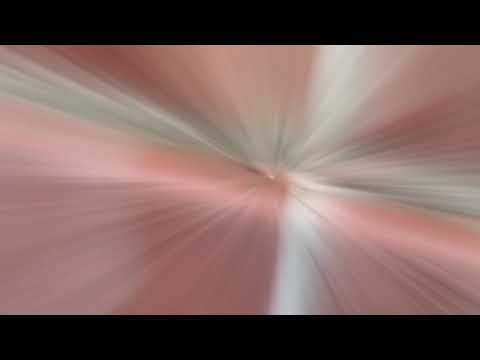 One Long Pavement Ant Trail in Allenwood, NJ