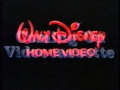 Walt Disney Home Video Logo Fly In Coming On Videocassette Logo