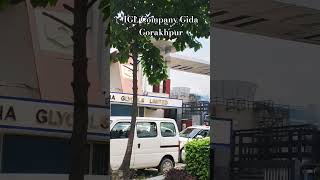 Download lagu IGL Company Gida Gorakhpur|Desi sarav Ki Factory|Swin|Factor|##igl #swine #PDaru ki factory mp3